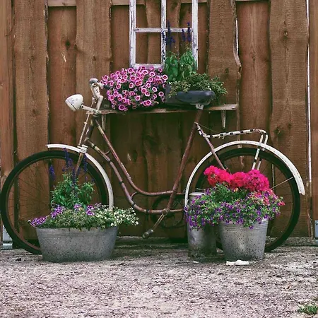 Tulip With Your Private Entrance Apartament *