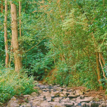 Tulip With Your Private Entrance Apartament *