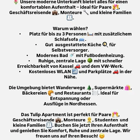 Tulip With Your Private Entrance Apartament Baunatal