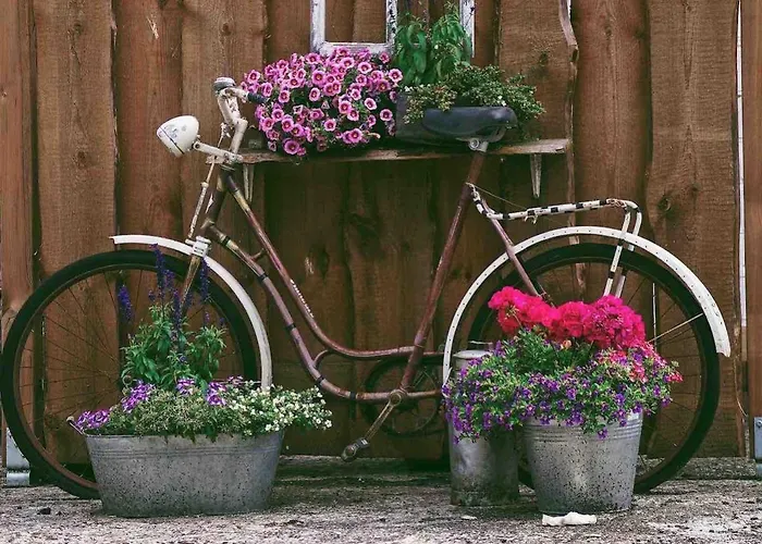 Tulip With Your Private Entrance Apartmán *