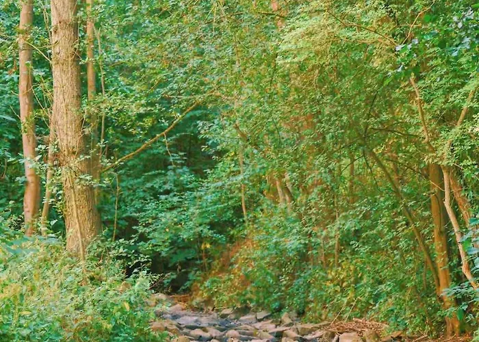 Tulip With Your Private Entrance Apartmán *