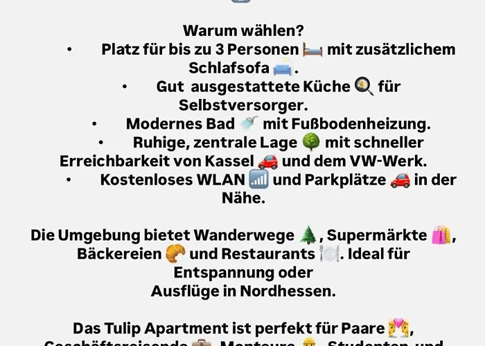 Tulip With Your Private Entrance Apartmán Baunatal